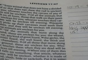 The Book of Leviticus