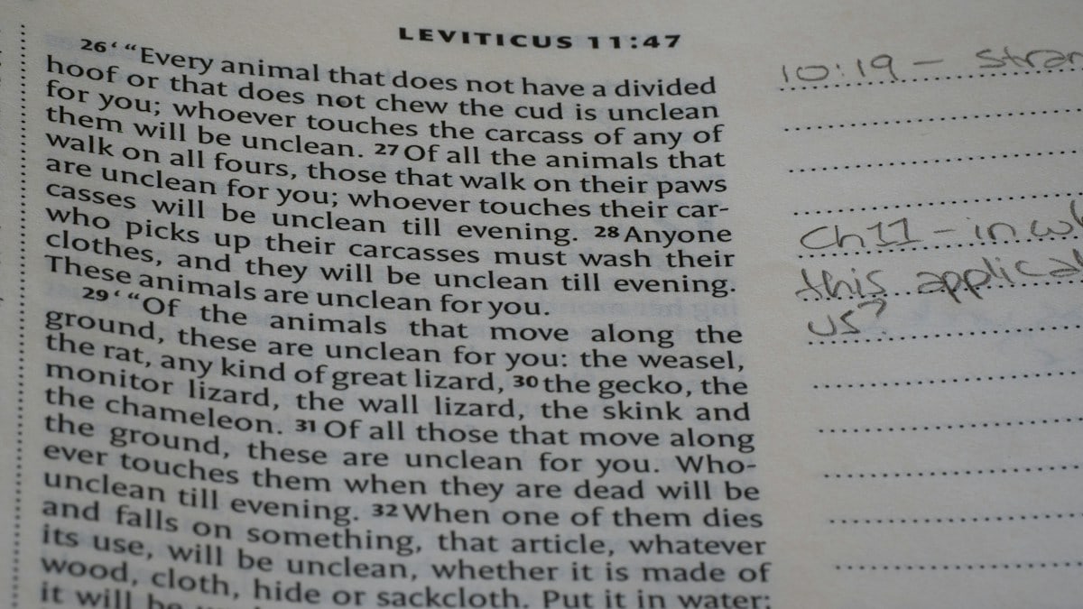 The Book of Leviticus